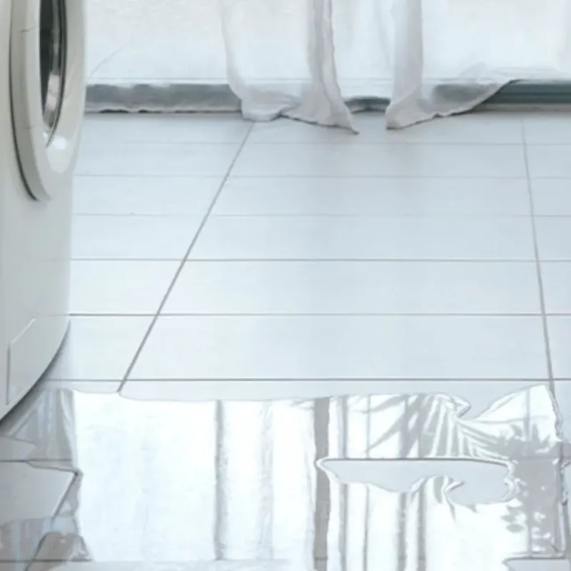 Appliance Leak Cleanup in Wills Point, TX