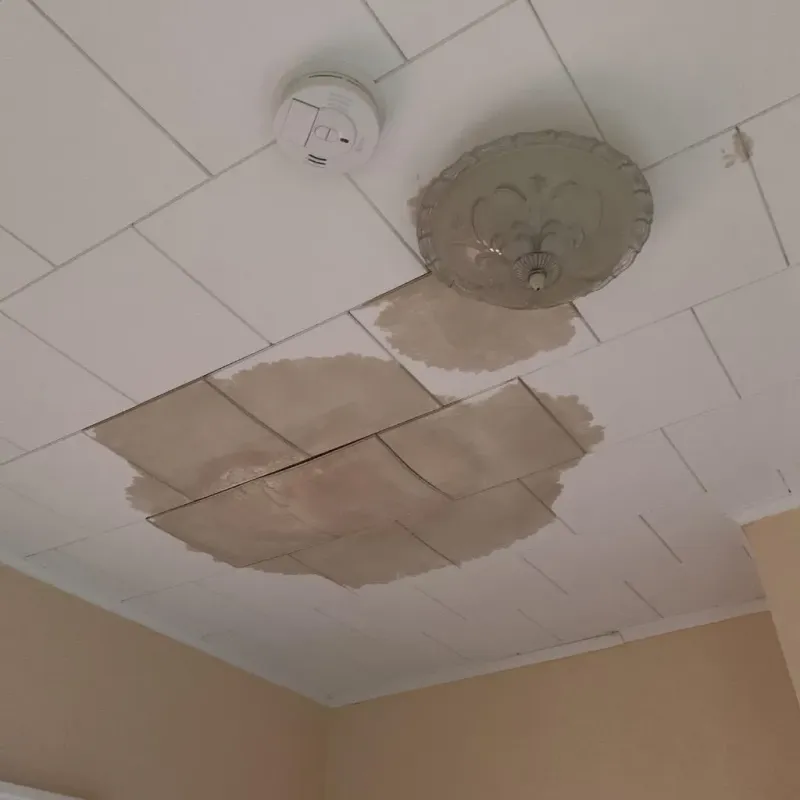 Ceiling Water Damage Repair in Wills Point, TX