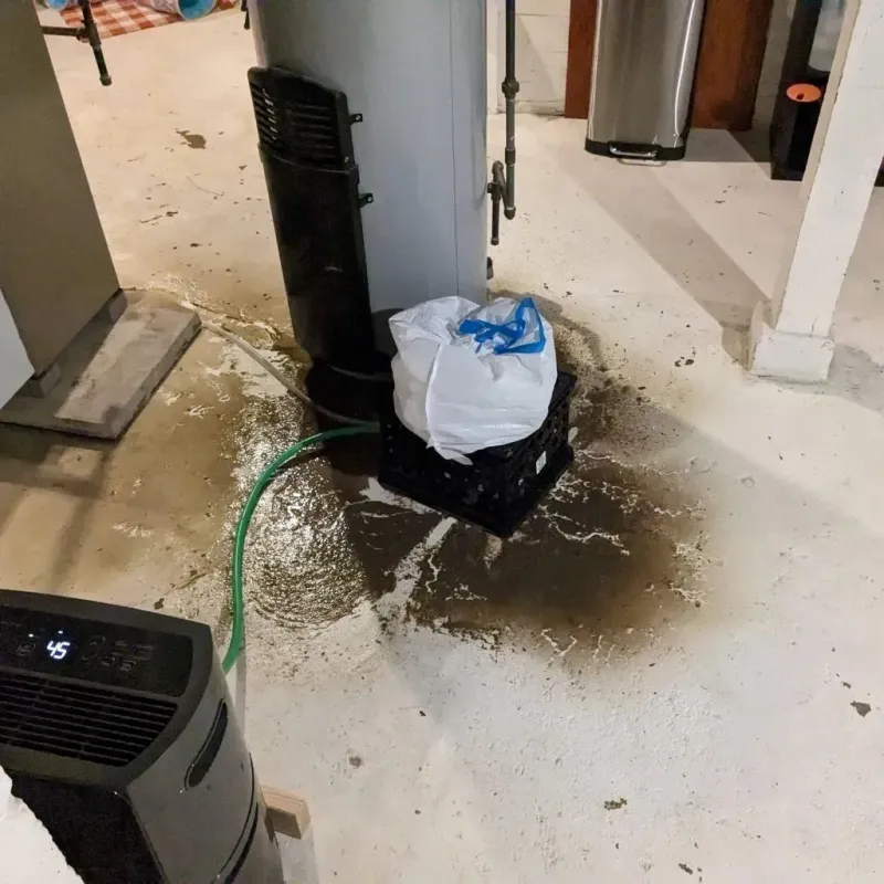 Sewage Backup Cleanup Service in Wills Point, TX